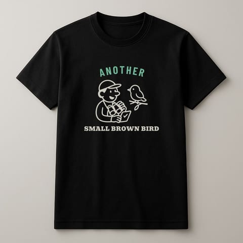 Another Small Brown Bird tee, Black