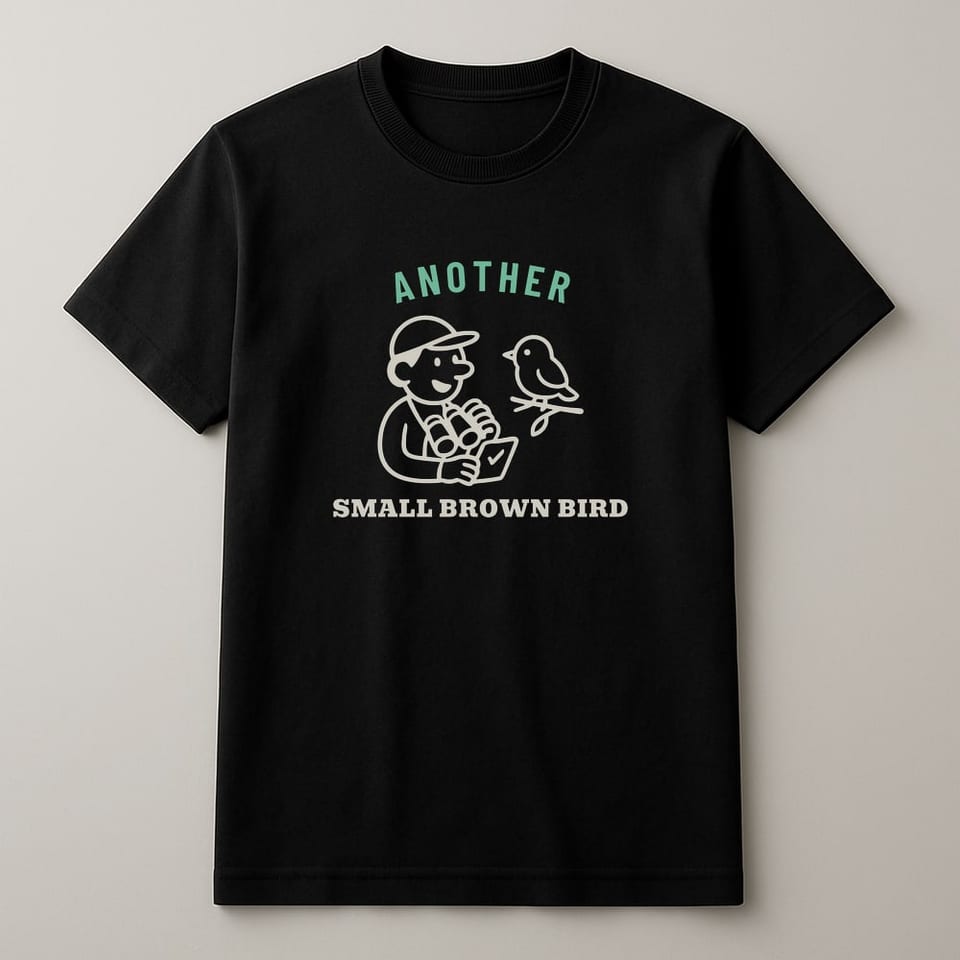Another Small Brown Bird tee, Black